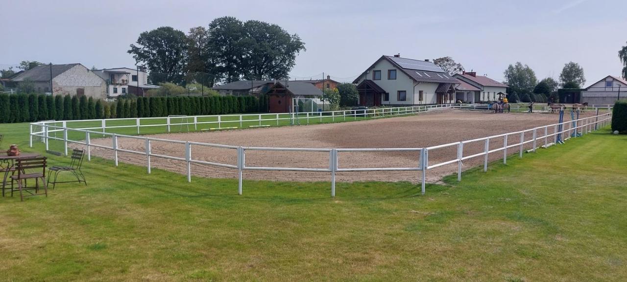 Bauernhof Zielone Ranczo Iława