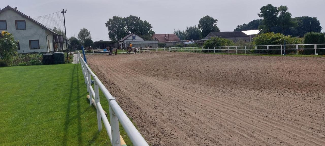 Zielone Ranczo Bauernhof Iława