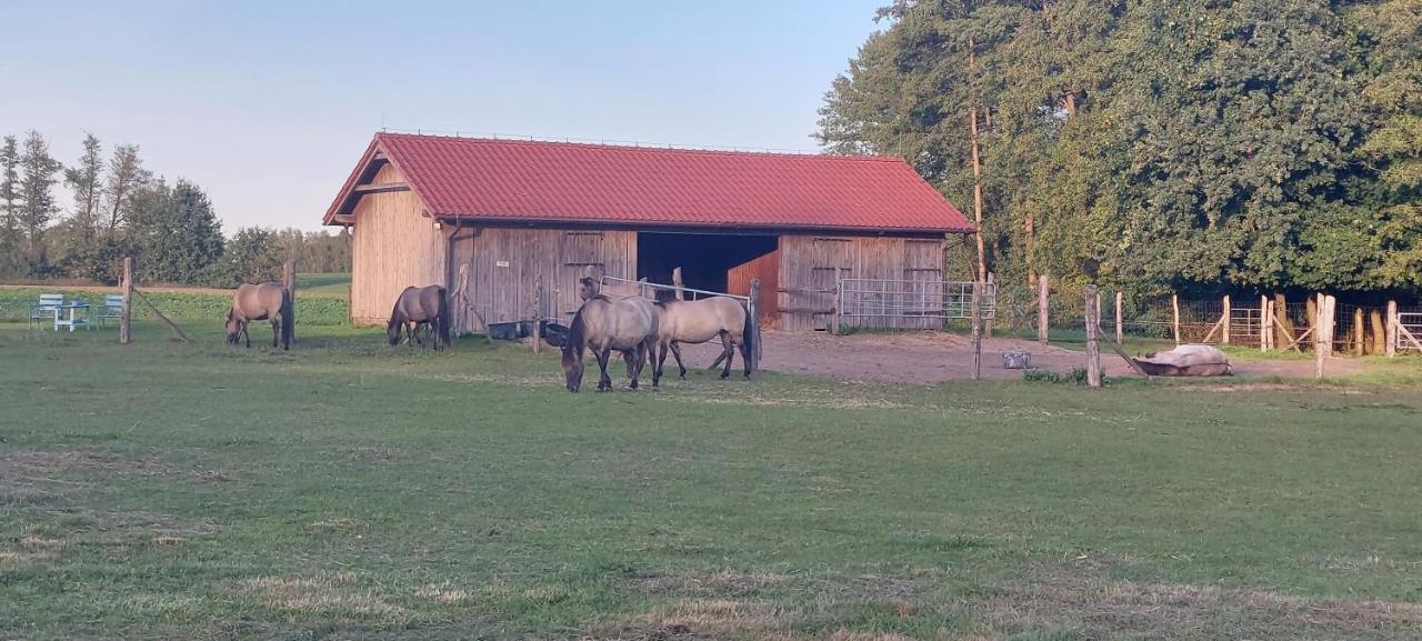 Zielone Ranczo Iława