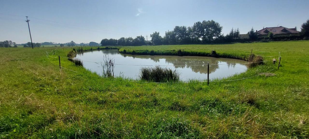 Bauernhof Zielone Ranczo Iława